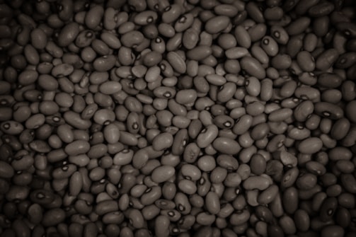 A close-up of mucuna pruriens beans showcasing their unique texture.