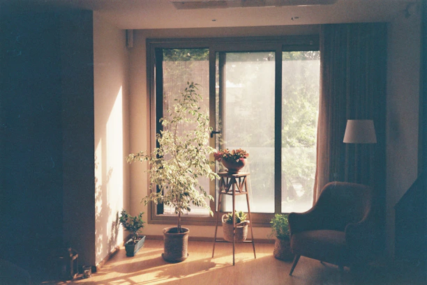 A cozy reading nook with plants and soft lighting, inviting calm and reflection.