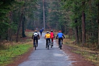 Group of friends cycling together on a forest trail surrounded by autumn colors.