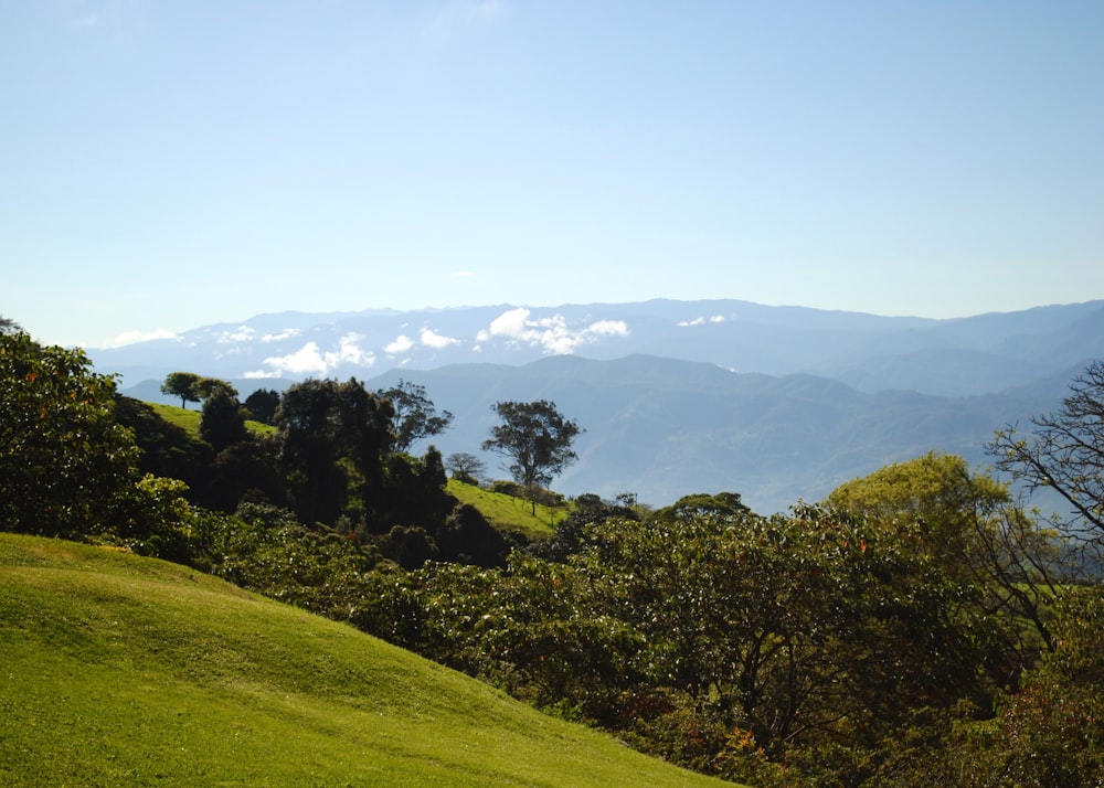 green grass field and mountains during daytime