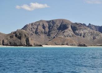 brown and green mountain beside body of water during daytime