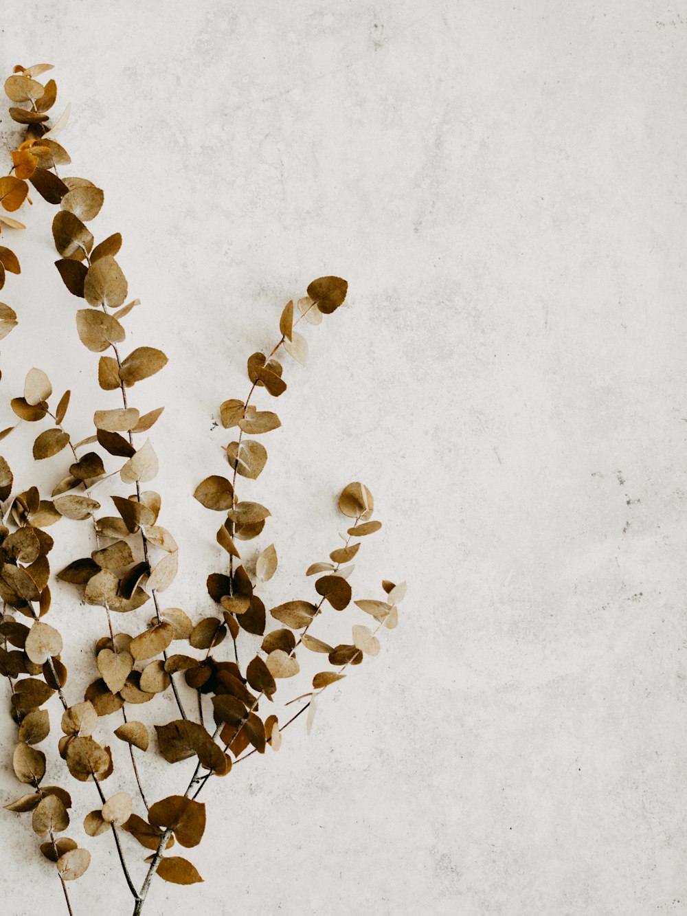 brown and black stones on white surface