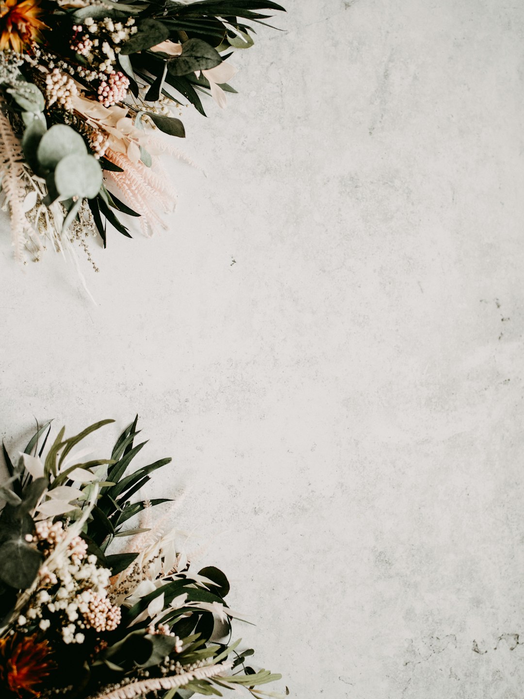 green and white plant on white wall