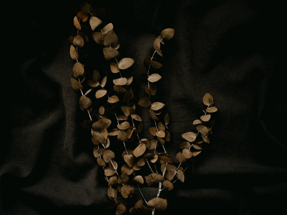 grãos de café marrons em tecido preto