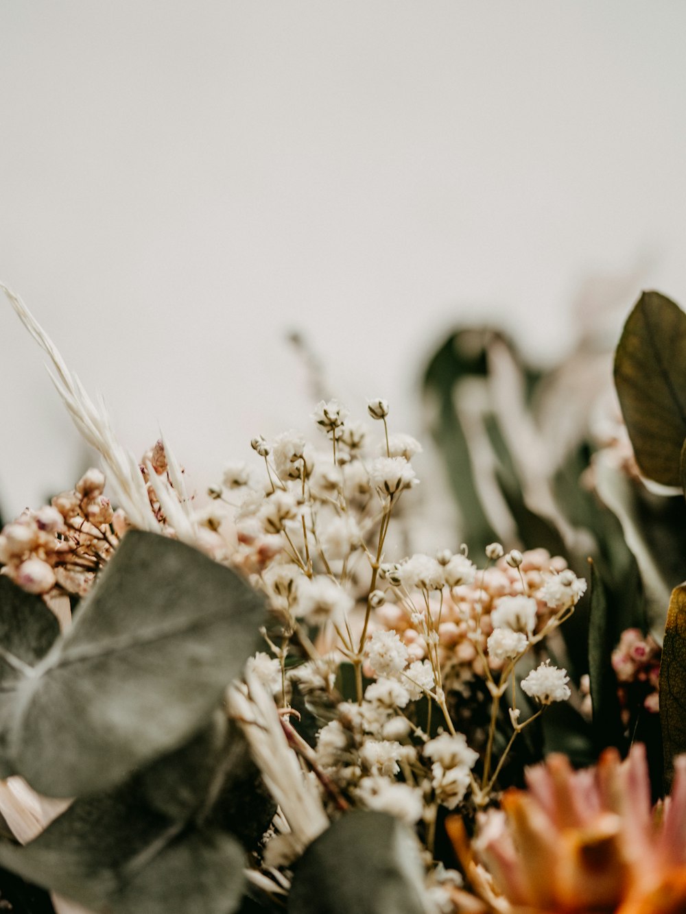 white flowers with green leaves