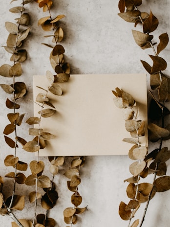 A soft-focus photo of a vintage letter and dried eucalyptus leaves on a beige textured background.