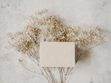 Earthy details of dried flowers, crystals, and textured fabrics layered on a cream card surface with soft shadows.