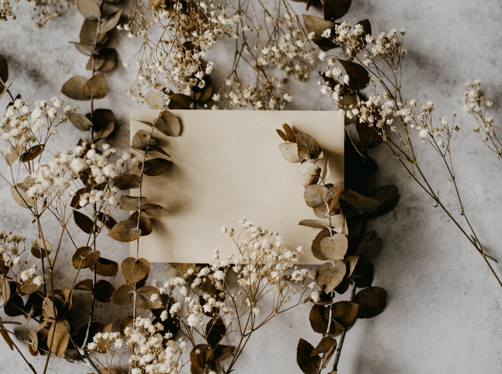 white flowers on white wall