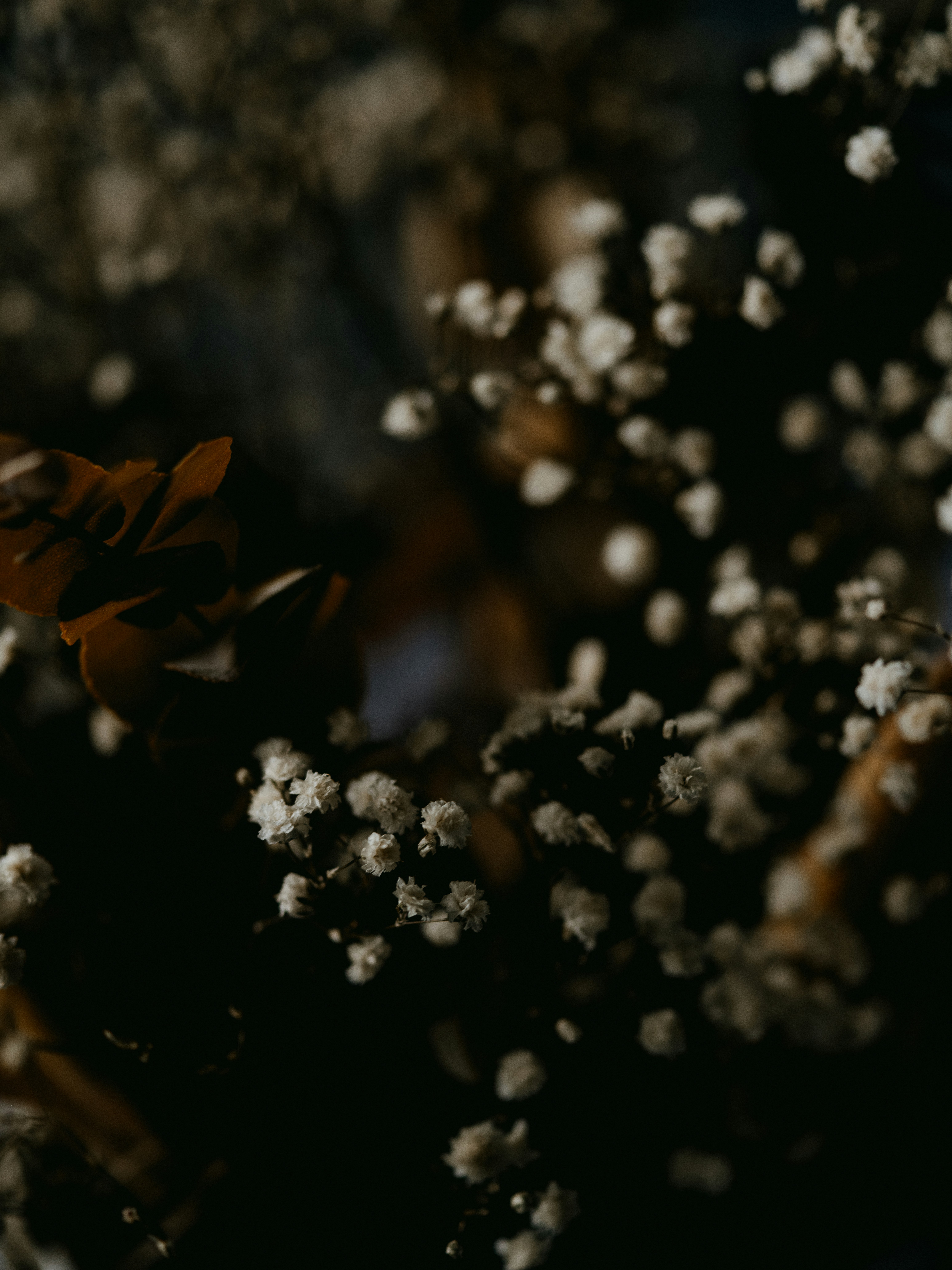 Photo by anniespratt