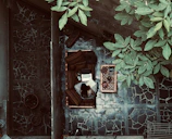 A digital nomad working on a laptop at a sunny outdoor café with tropical plants around.
