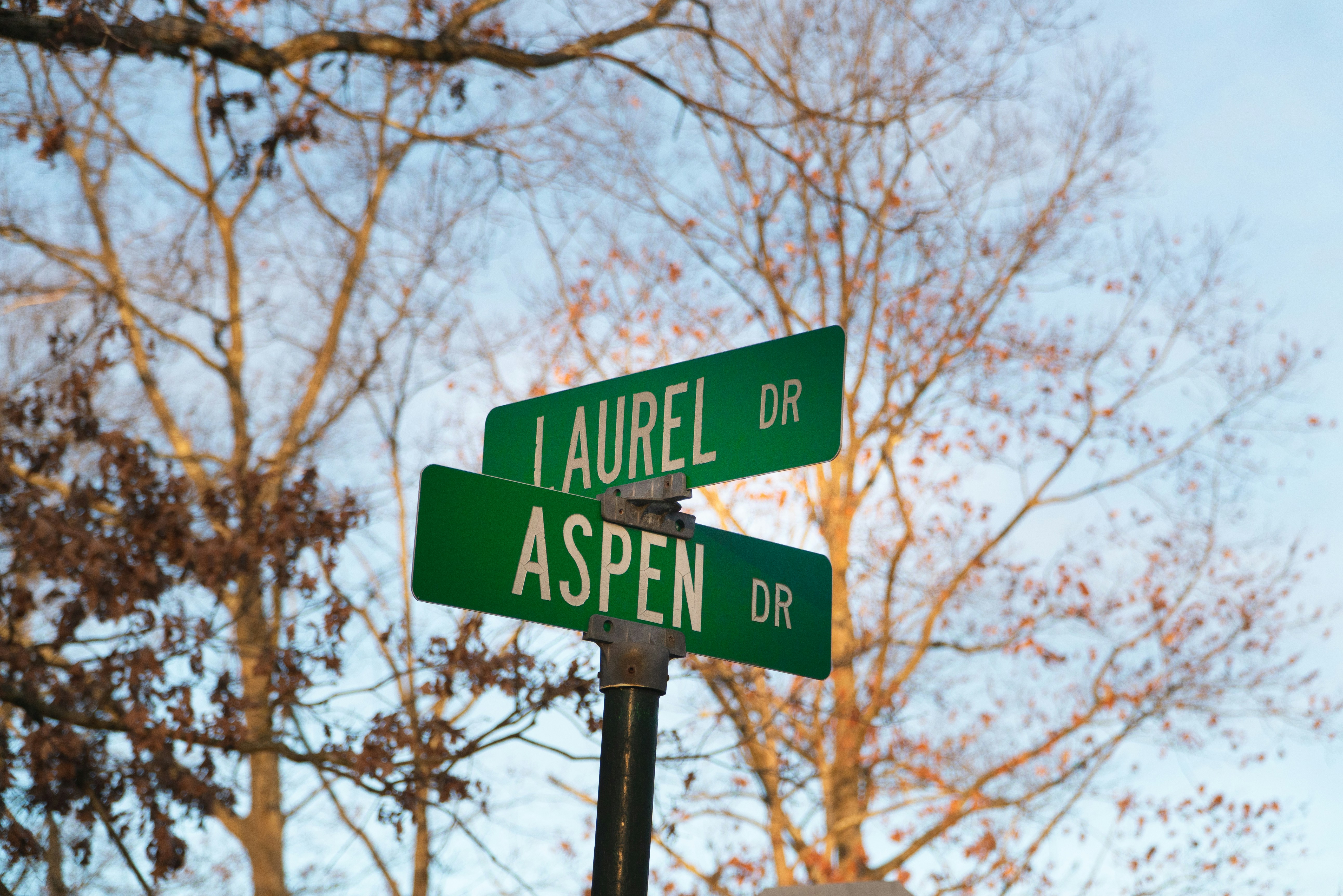 Black and white street sign photo Free Sign Image on Unsplash