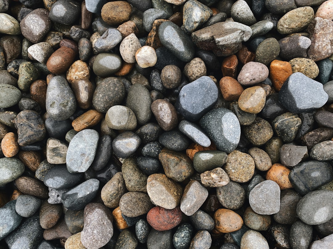 gray and brown stones on gray and brown stones