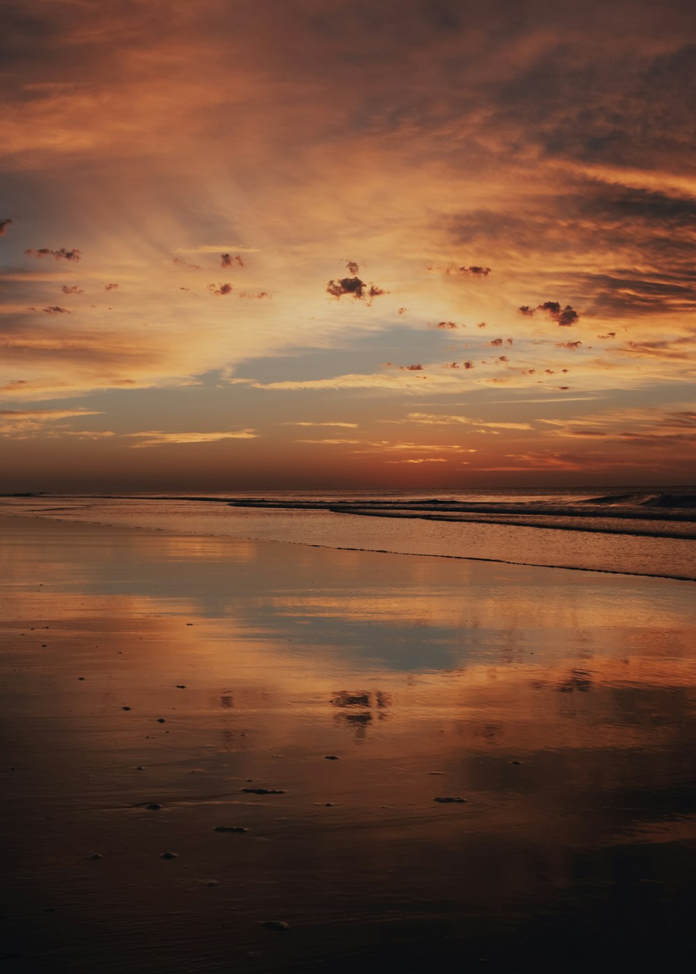 birds flying over the sea during sunset