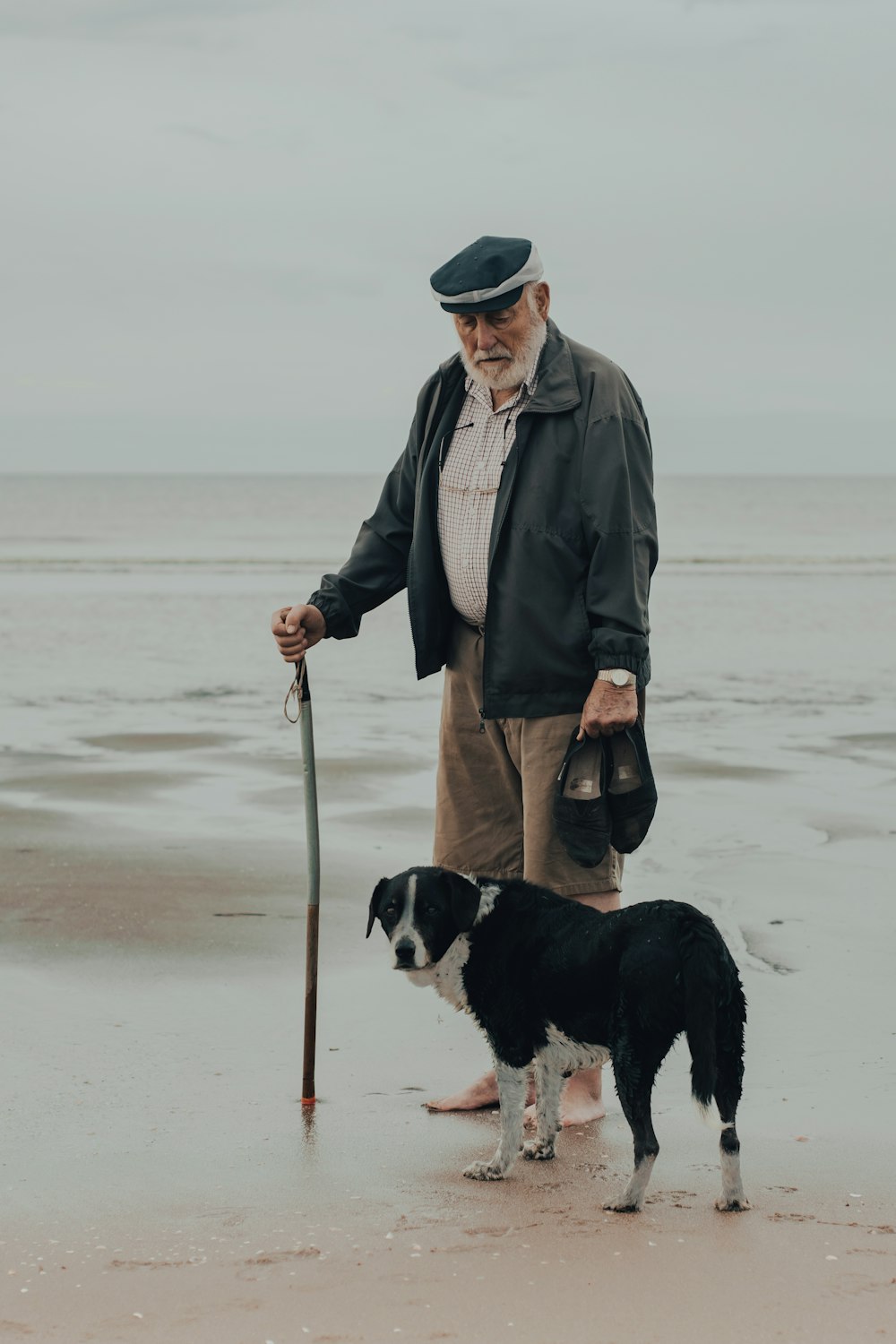man in gray coat holding black and white short coat dog on beach during daytime