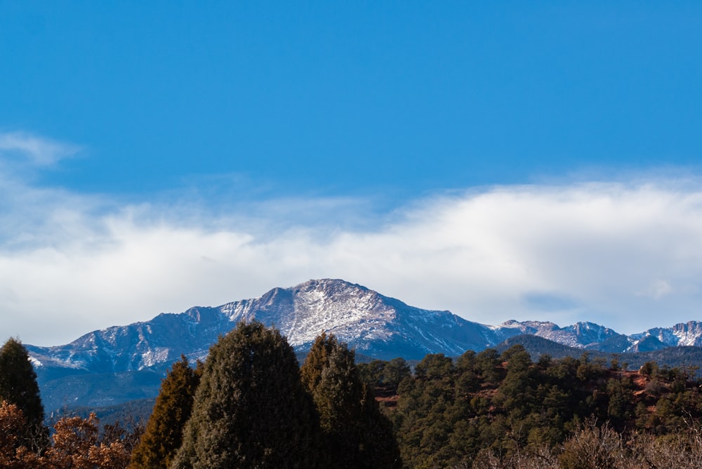 green trees near mountain under blue sky during daytime