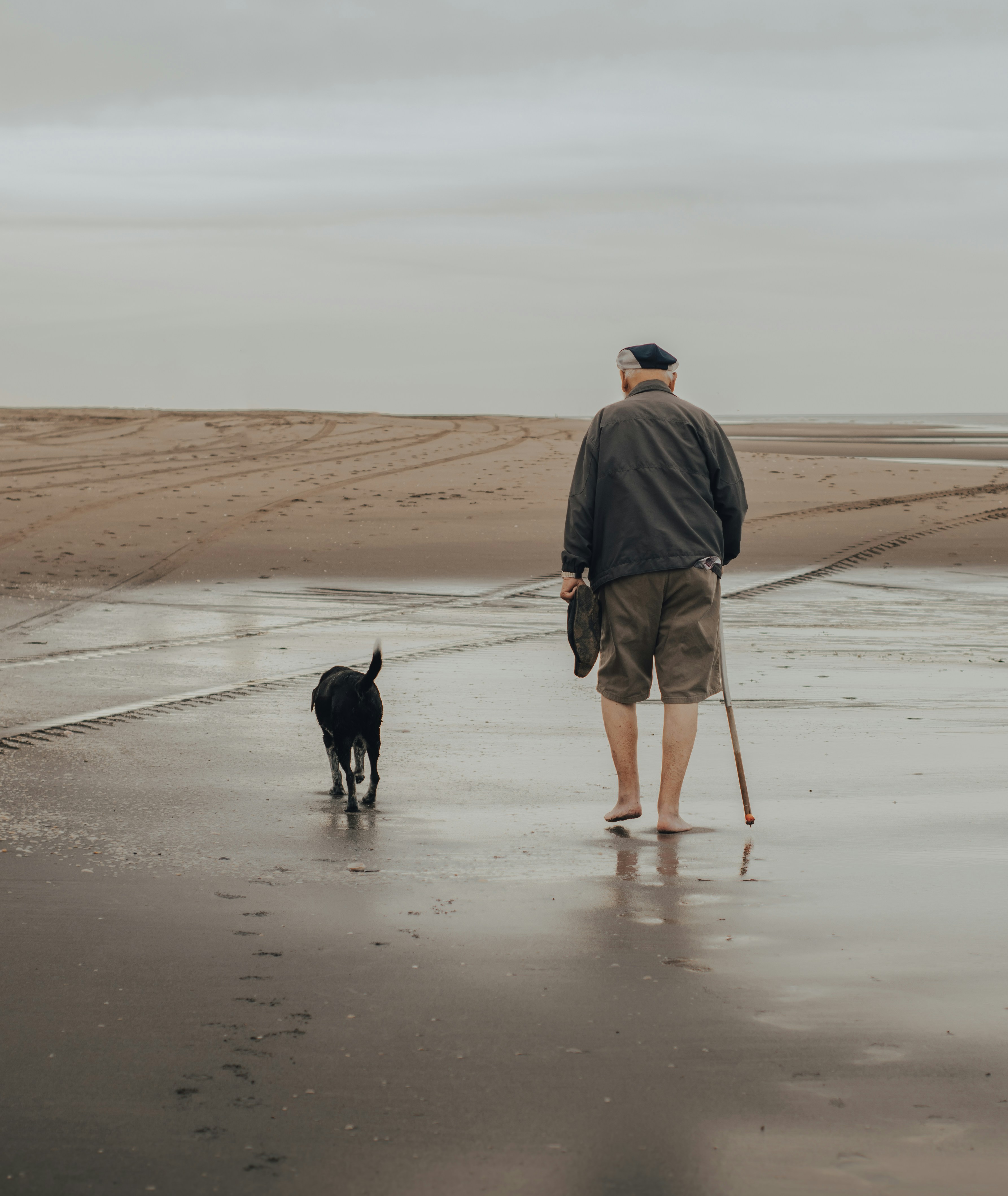 man in gray jacket walking with black short coated dog on brown sand during daytime