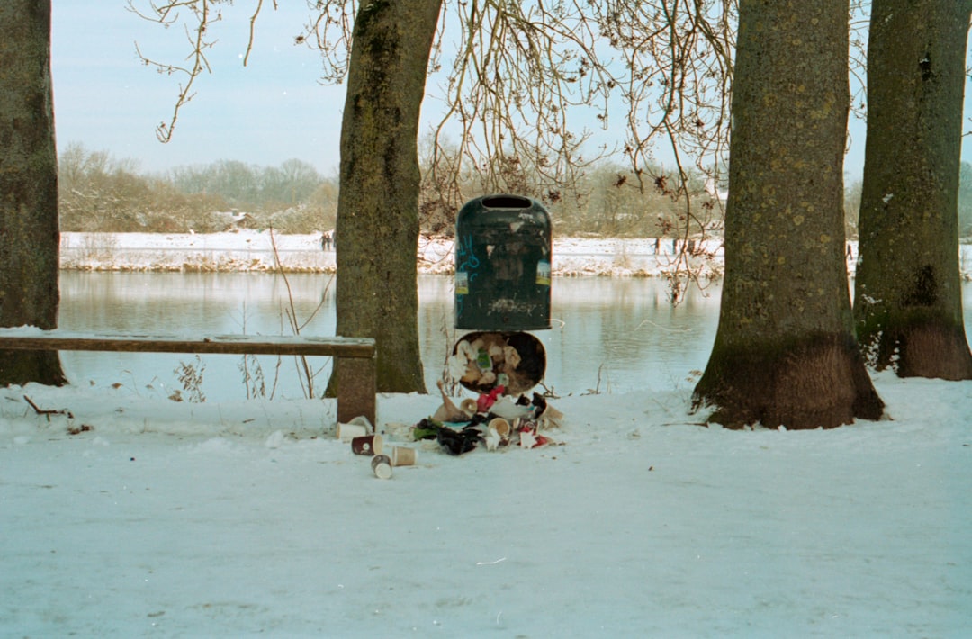 person sitting on bench near body of water during daytime