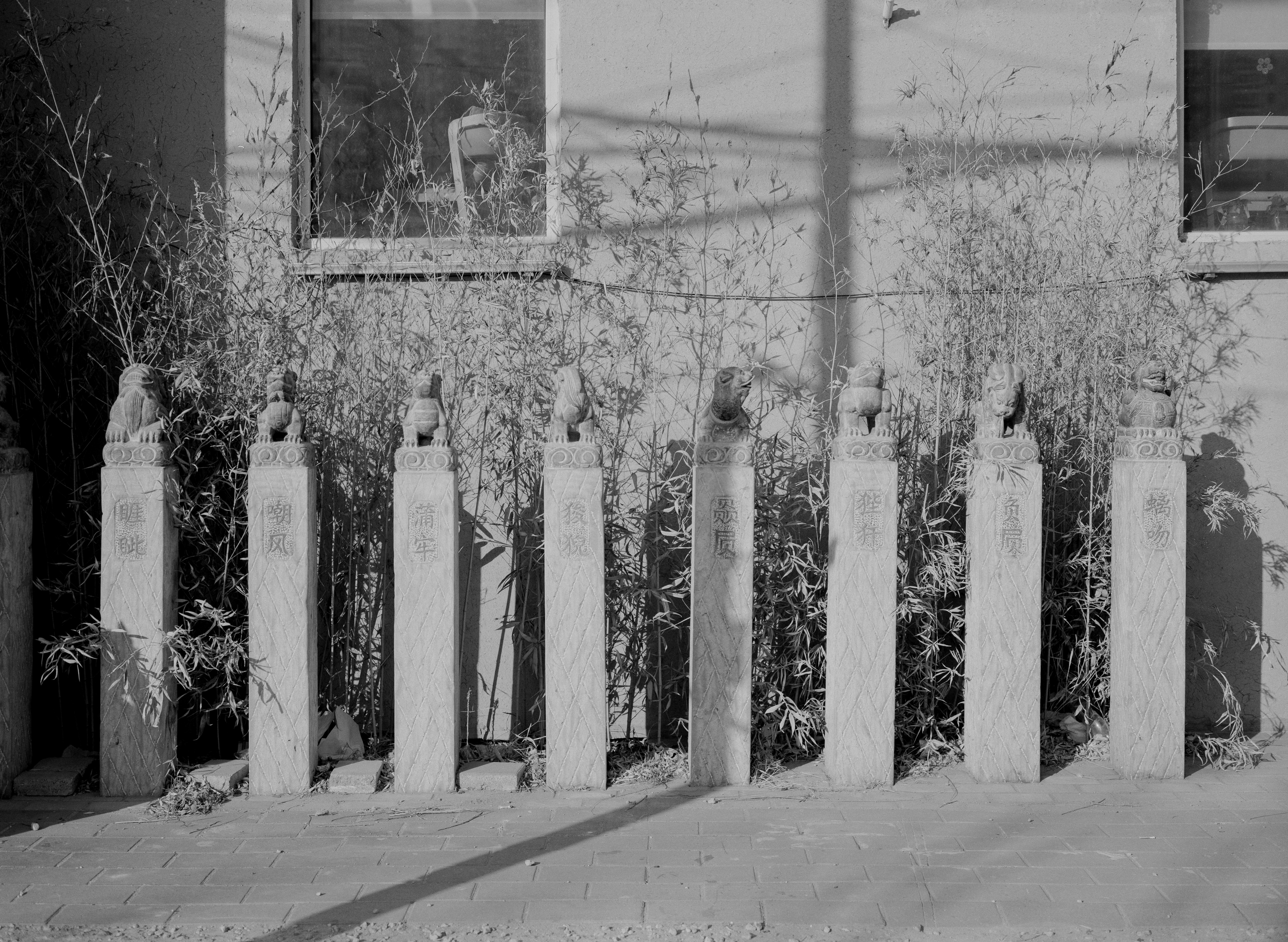 Photo by alexander_tsang