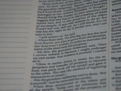 Close-up of a well-organized essay draft with highlighted key points.