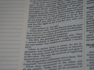 Close-up of a well-organized essay draft with highlighted key points.