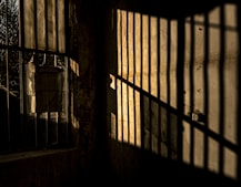 grayscale photo of window with metal grille