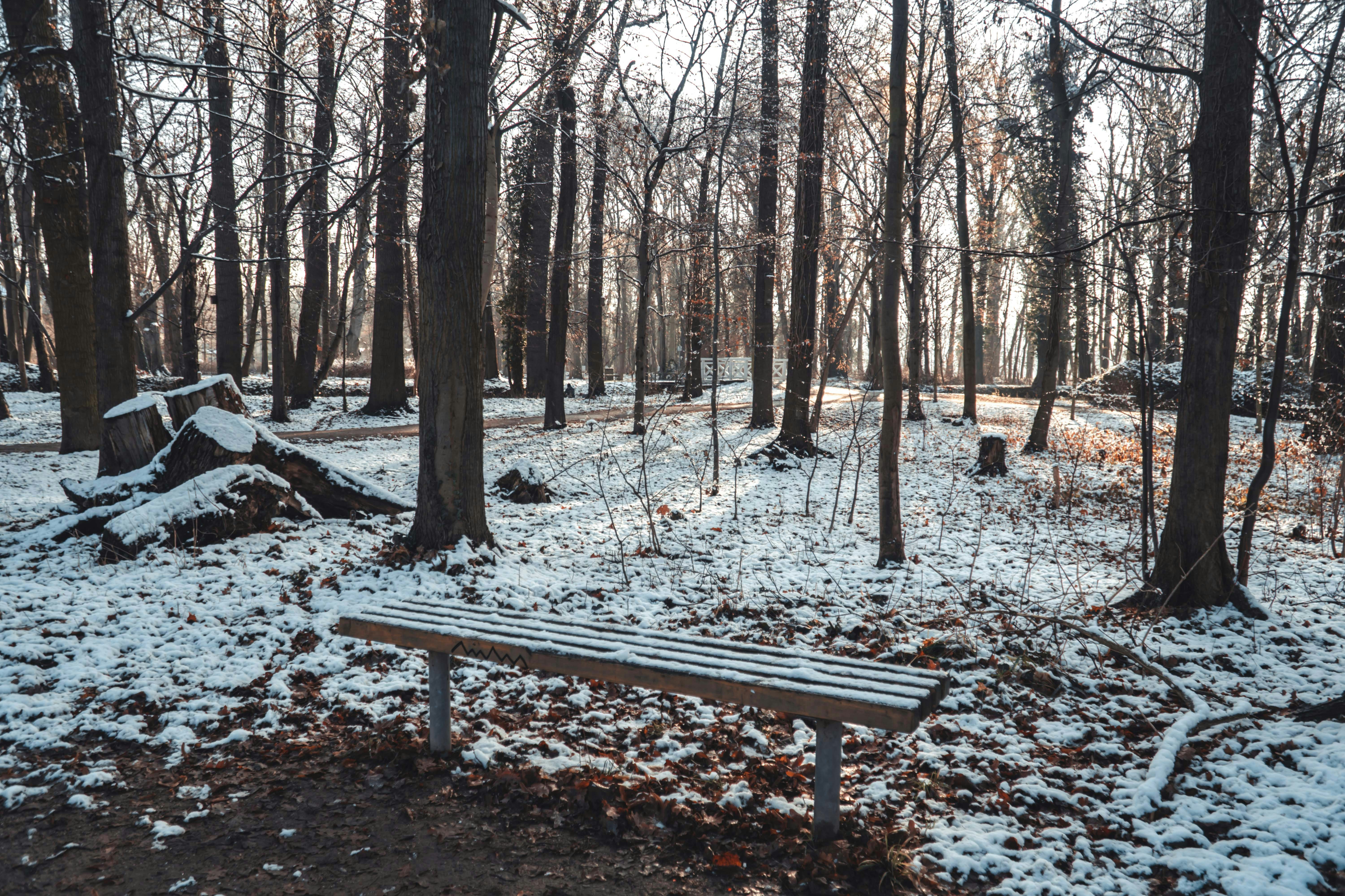 Photo by ducle_vietnam