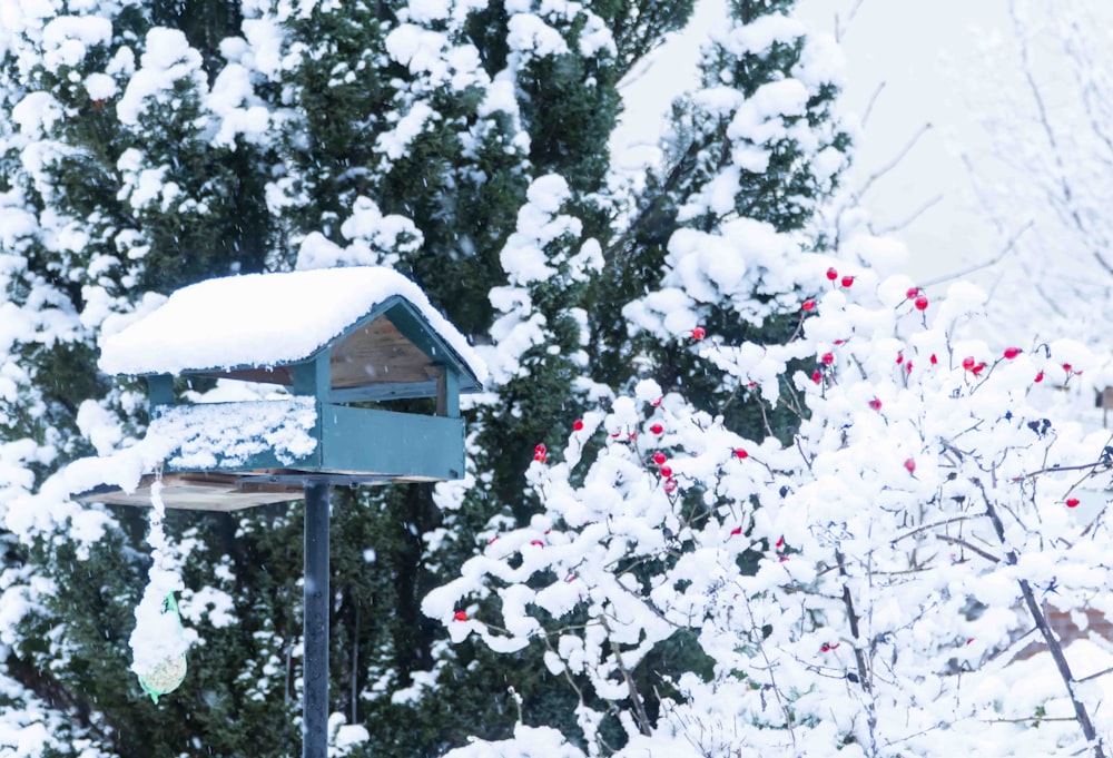 blue wooden birdhouse on tree covered with snow