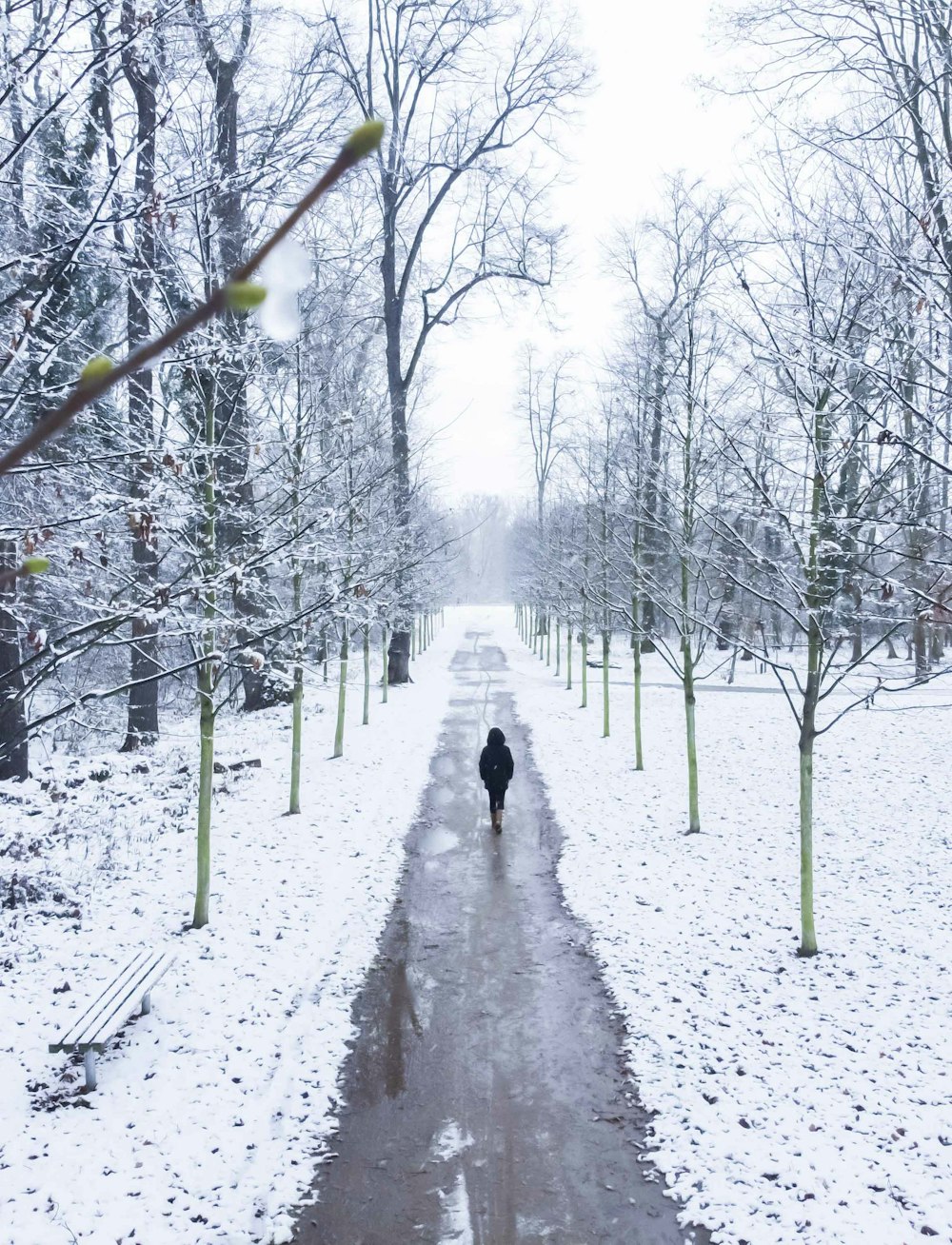 person walking on snow covered pathway during daytime