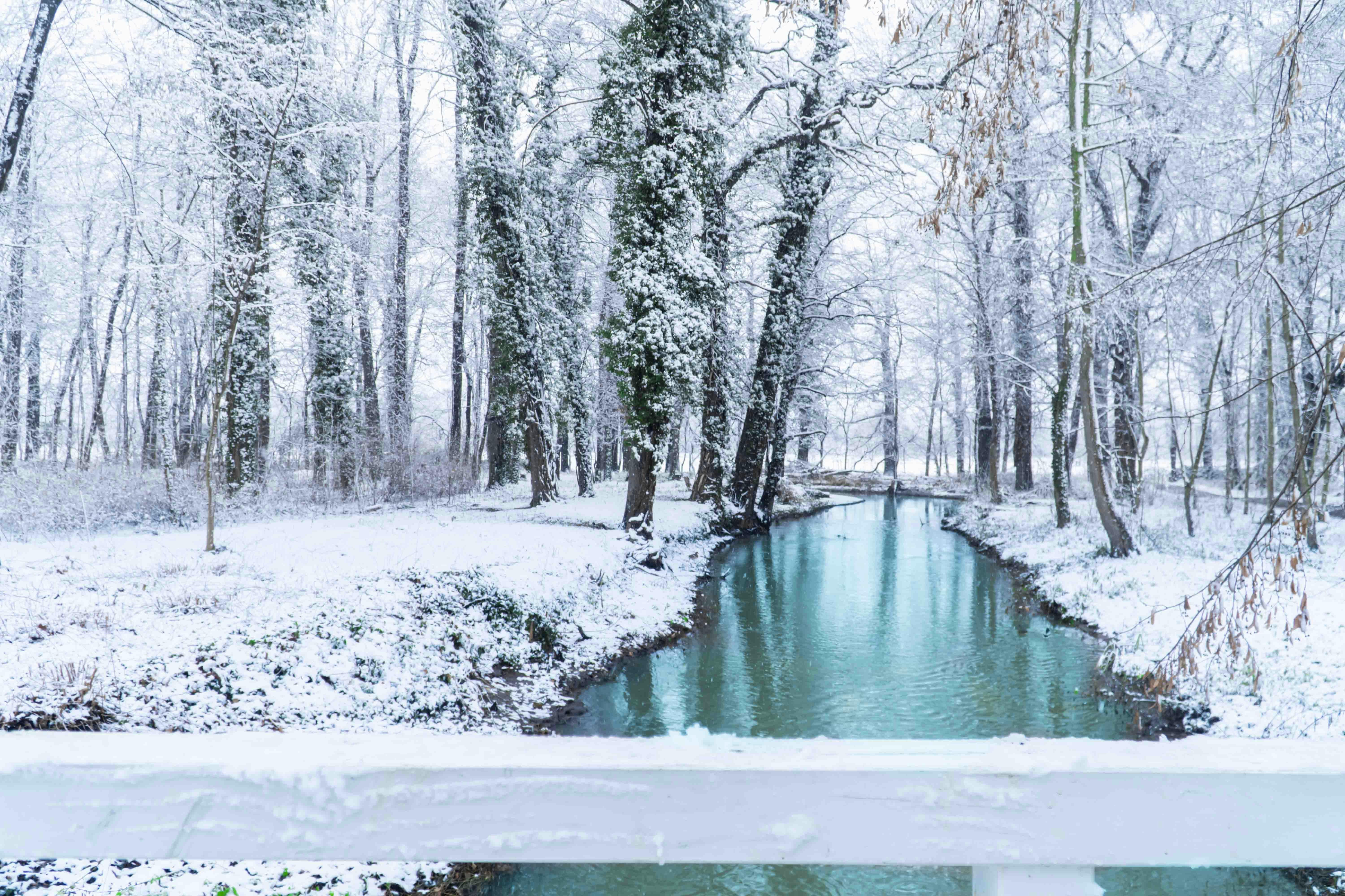 Photo by ducle_vietnam