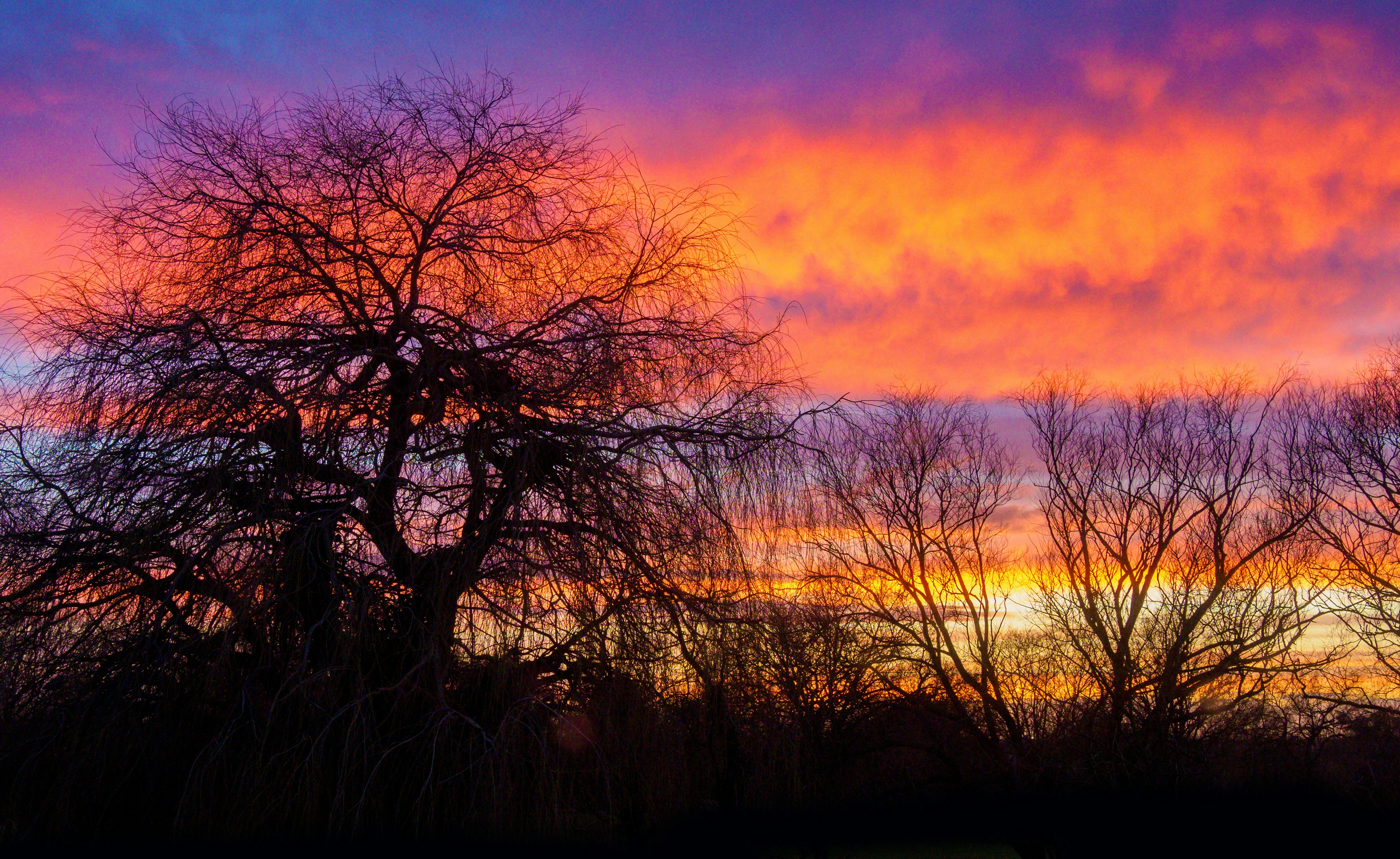 Photo by brett_jordan