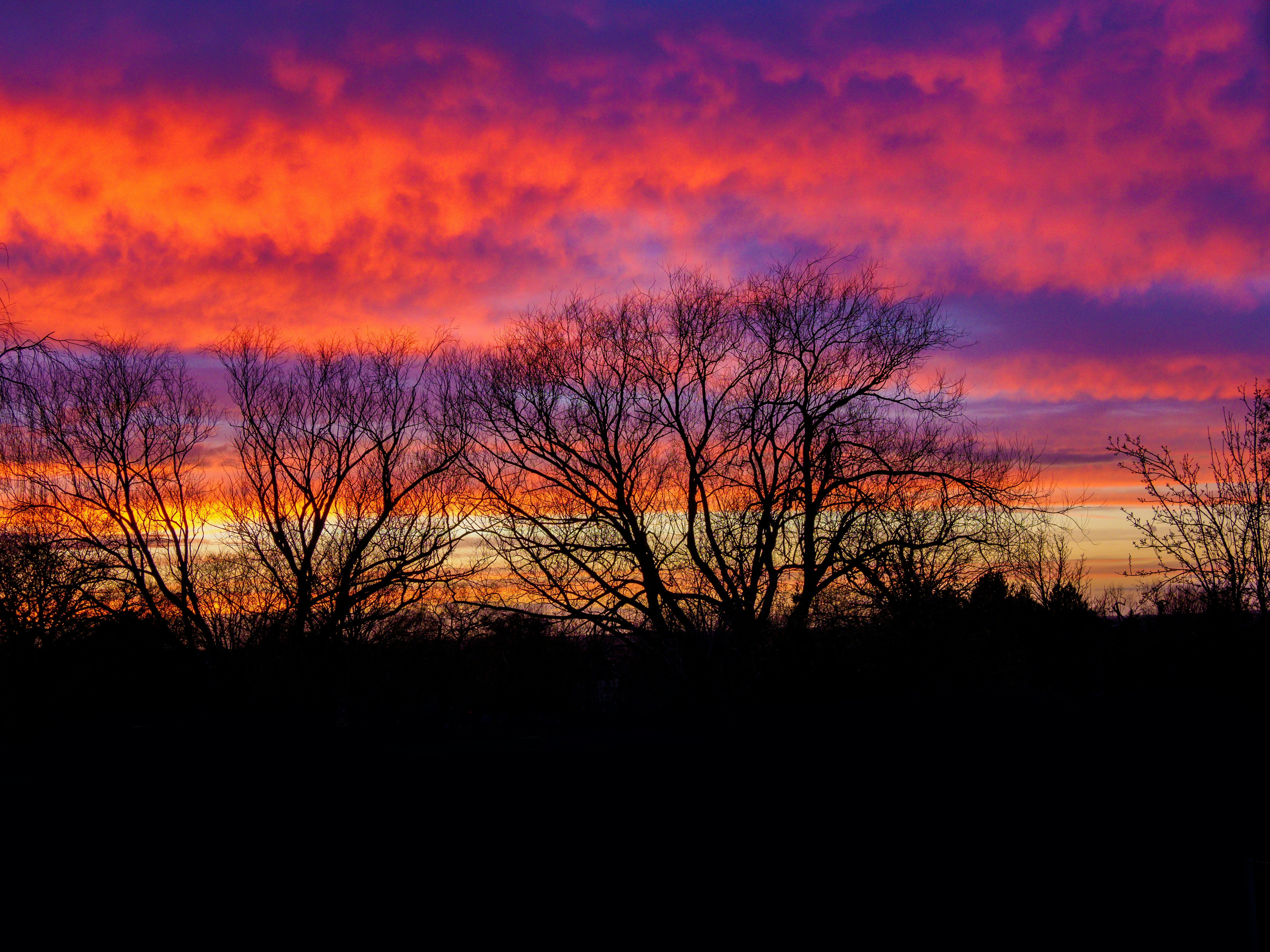 Photo by brett_jordan