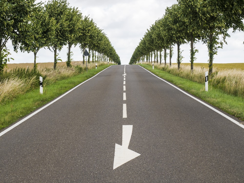 gray concrete road between green trees during daytime