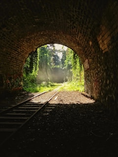 brown and black brick tunnel