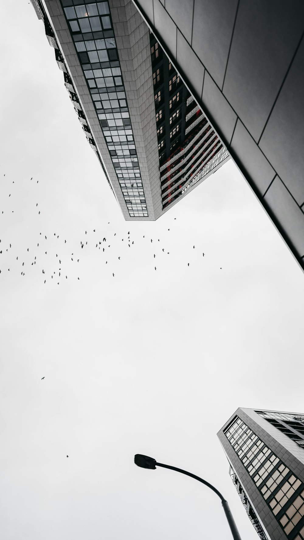 low angle photography of high rise building