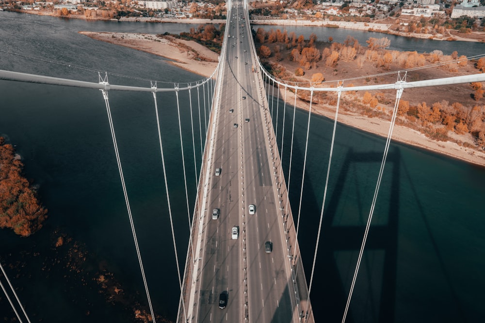 white and gray bridge during daytime