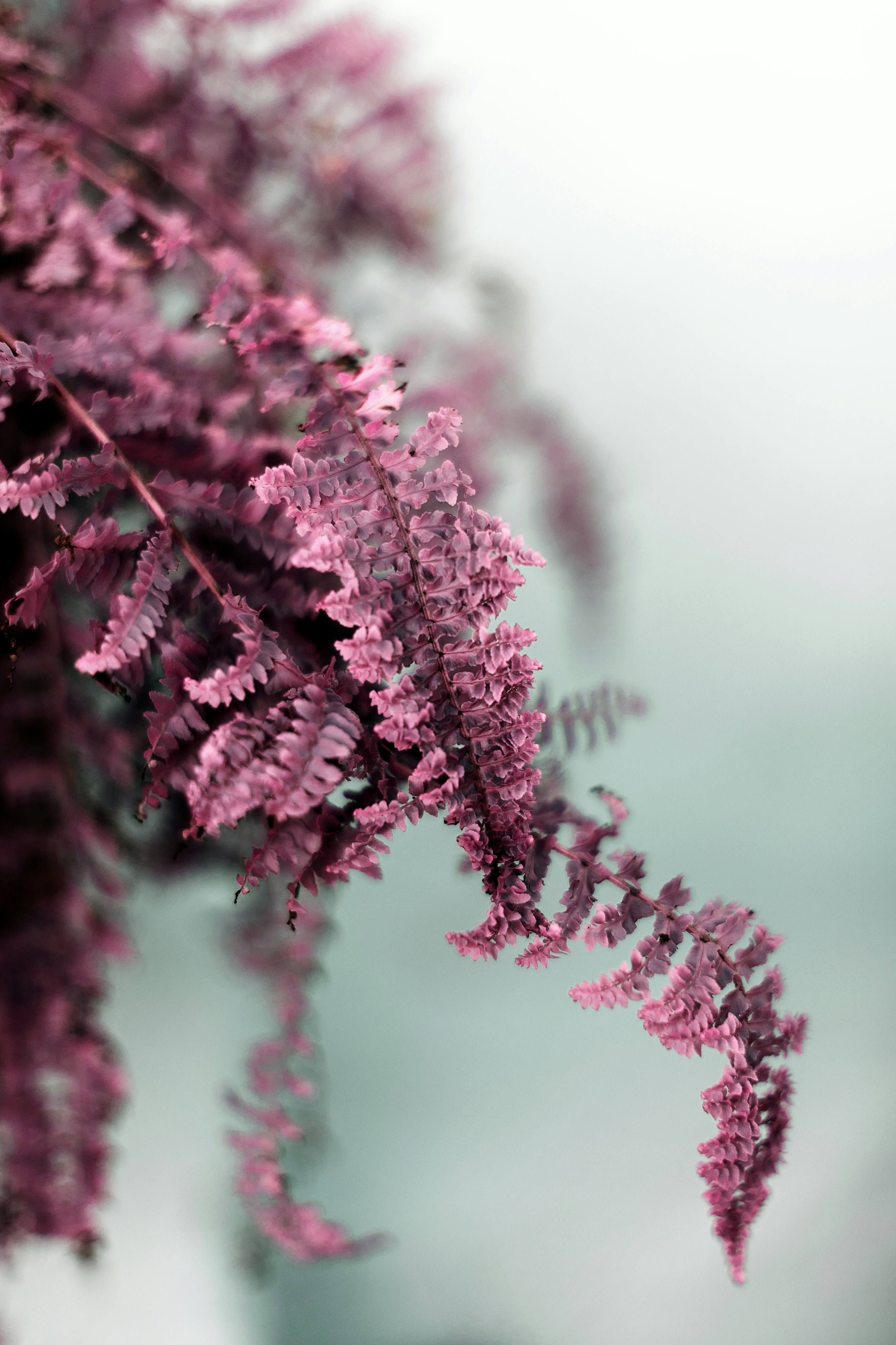 Photo by martindearriba