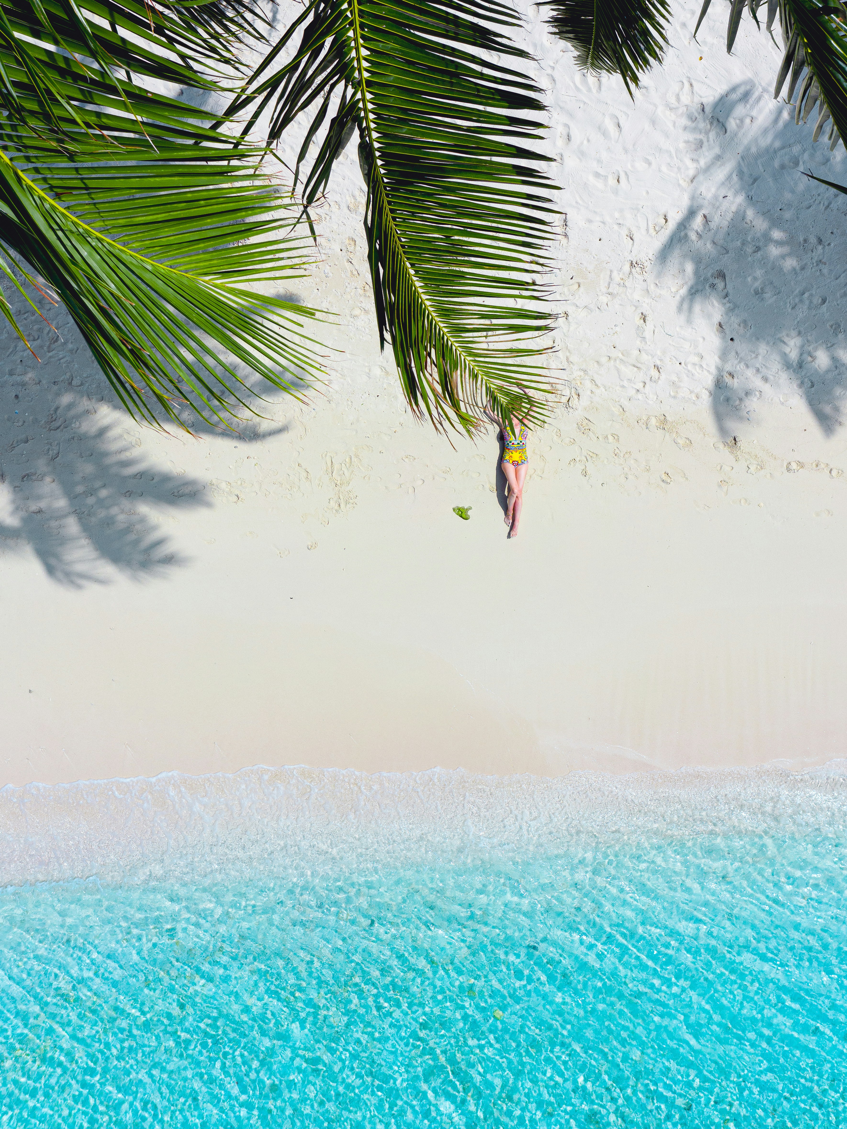green palm tree near body of water