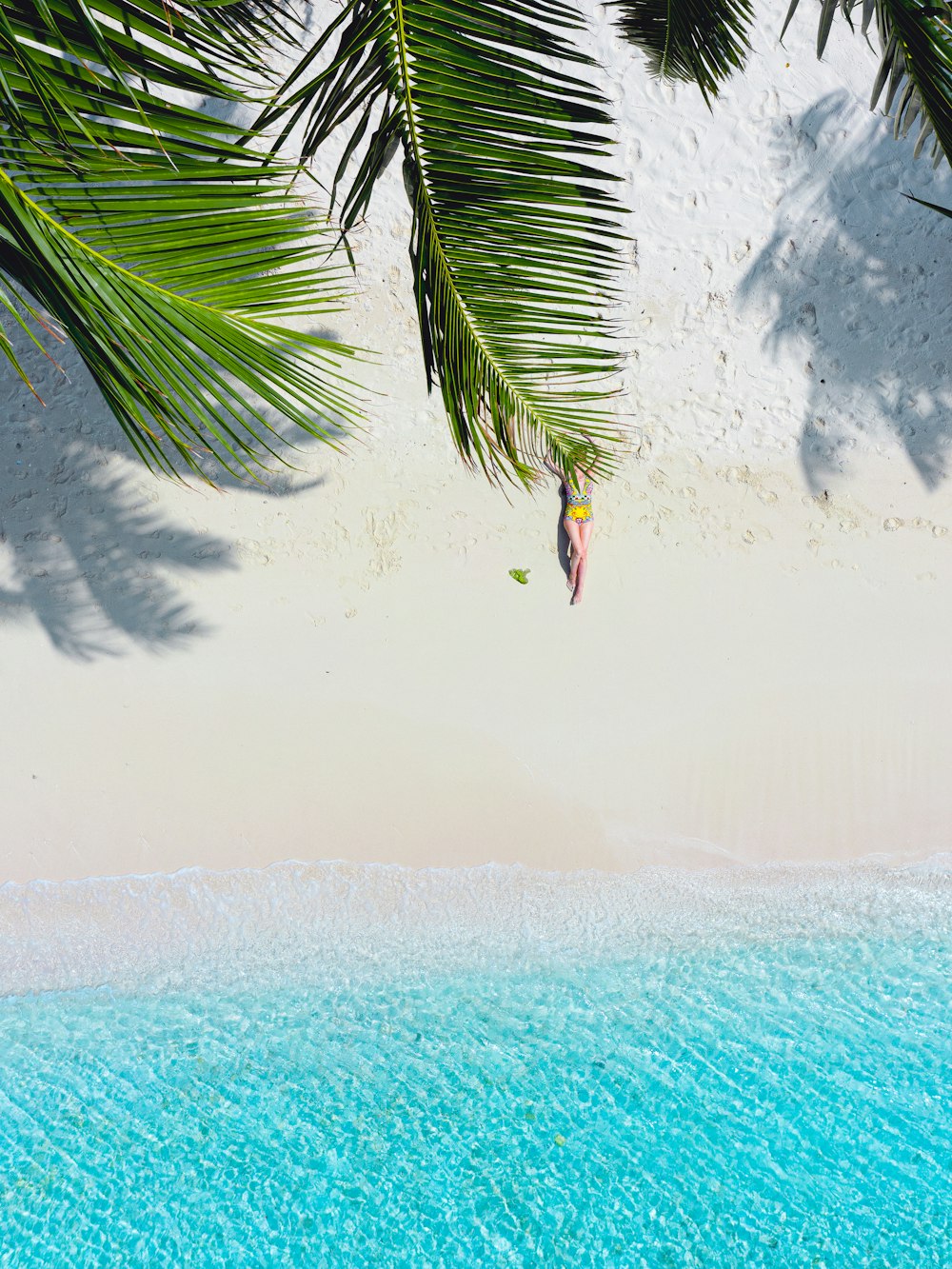 green palm tree near body of water