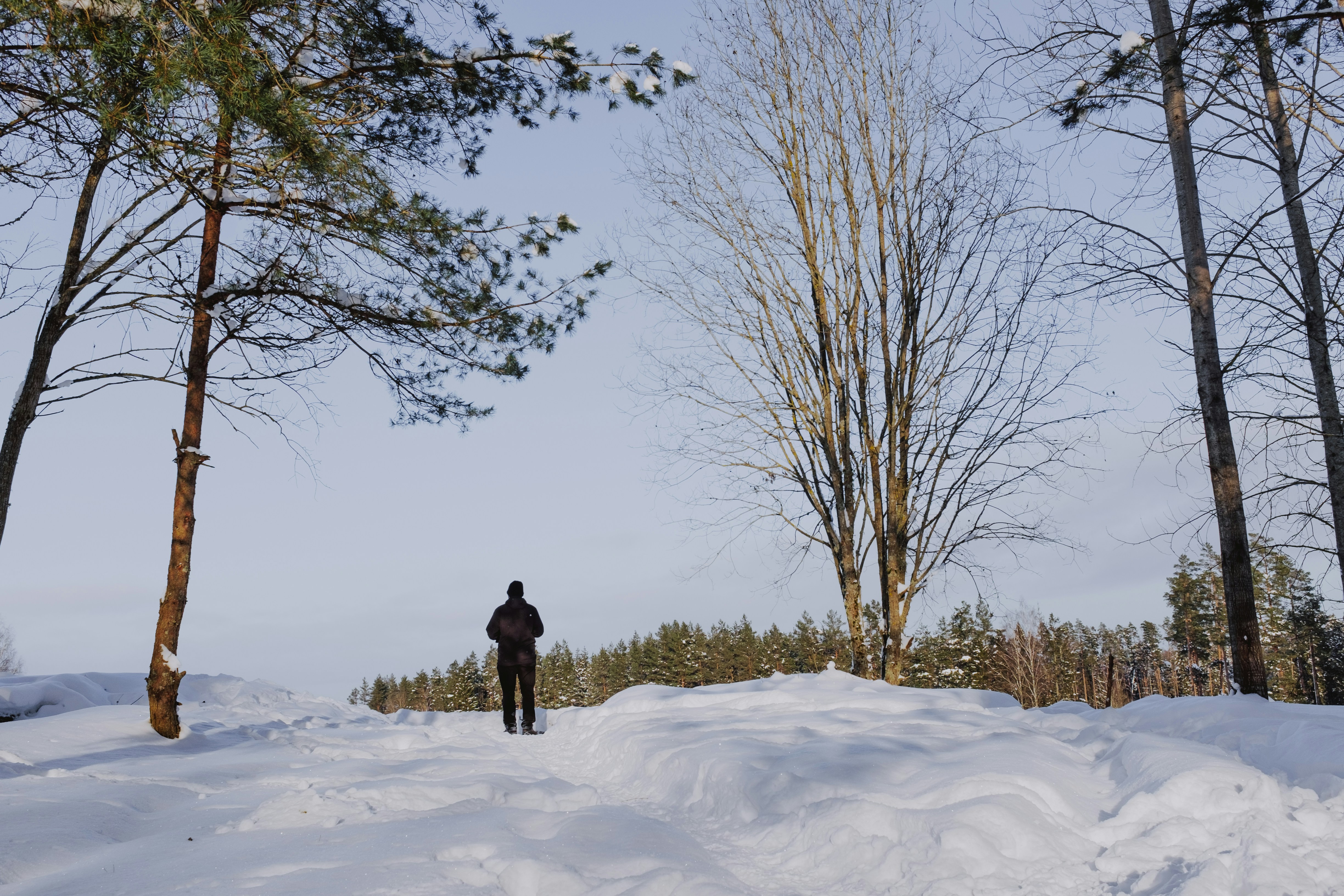 Photo by reireistagram