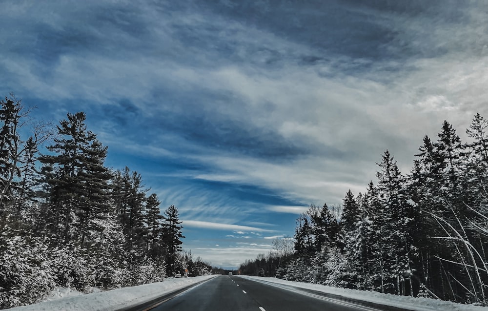 gray asphalt road between snow covered trees under blue sky and white clouds during daytime