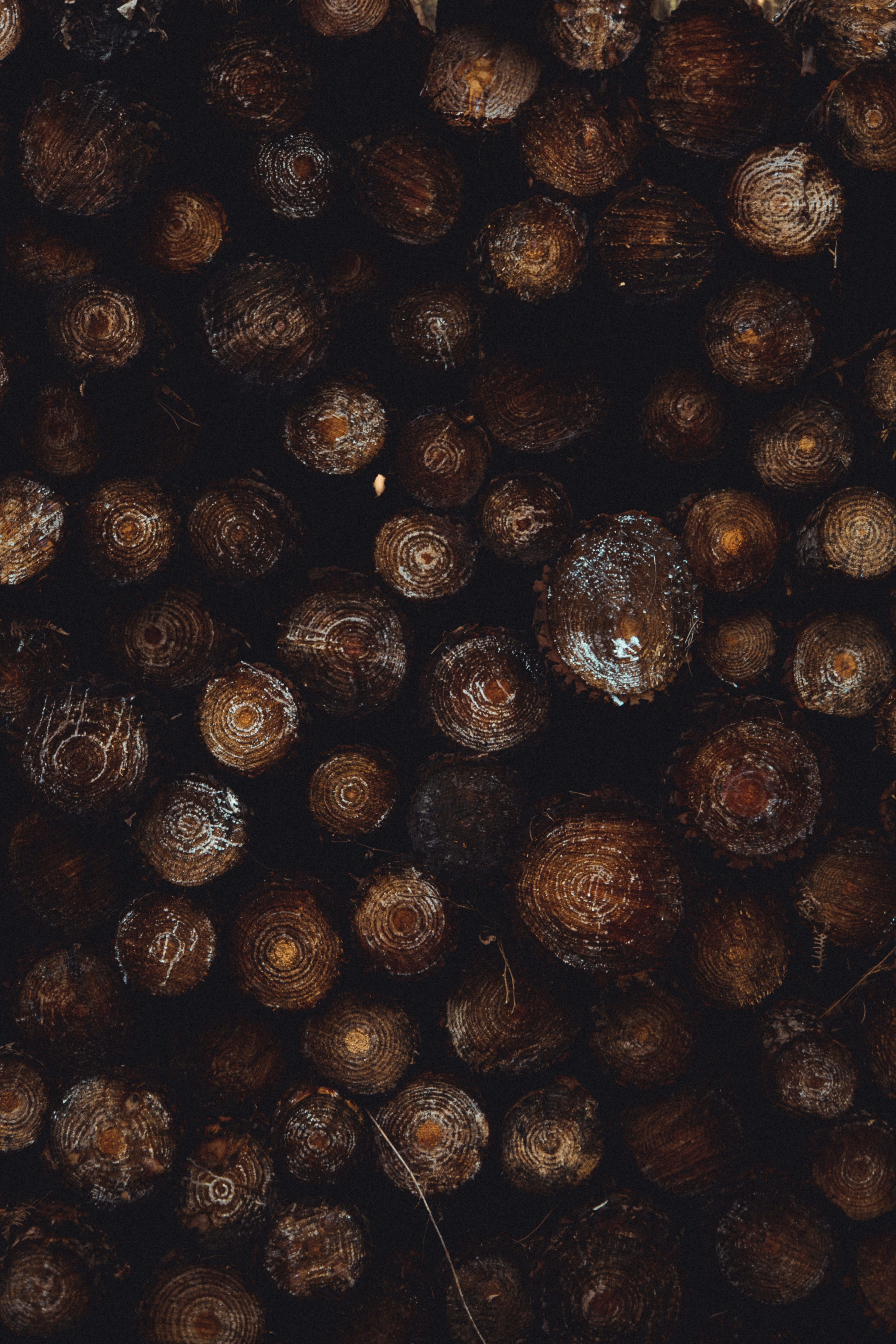 Photo by tom_bressolles