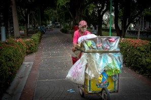 A person wearing a pink shirt and cap pushes a cart filled with various items covered in plastic. The scene is set on a park pathway lined with flowered bushes and trees, creating a peaceful environment. The path is relatively empty, with a few people in the background enjoying the park.
