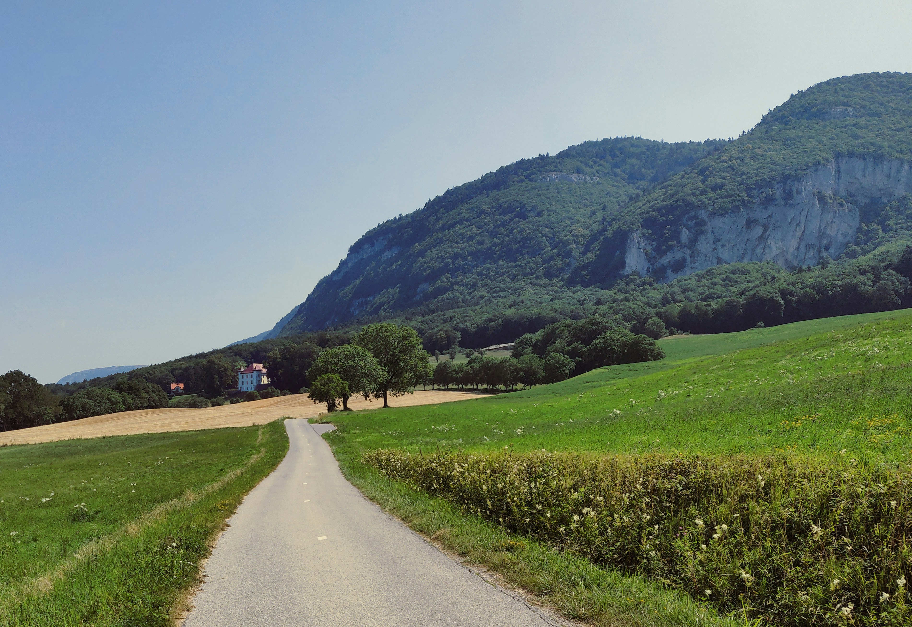 Farm road surrounded by mountains