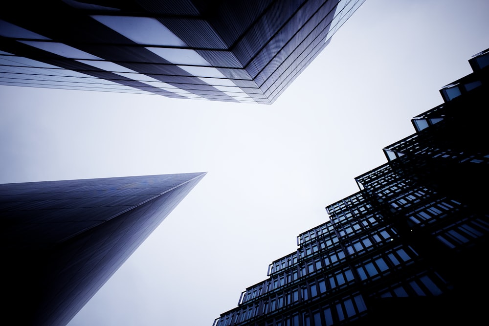 low angle photography of high rise buildings