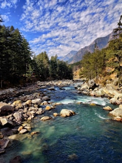 river in between green trees and mountains during daytime