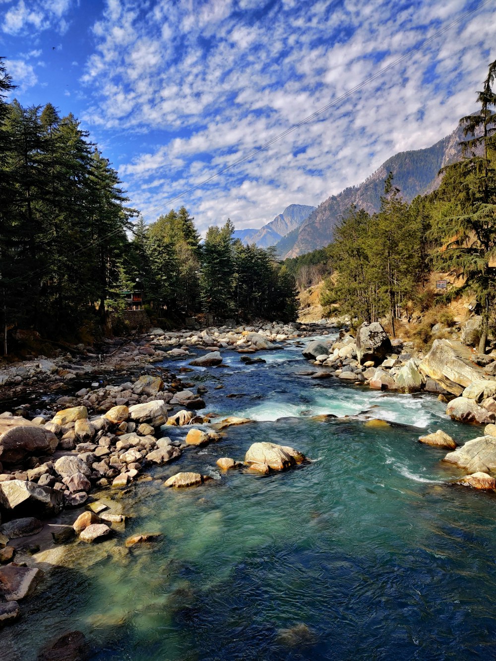 rivière entre les arbres verts et les montagnes pendant la journée