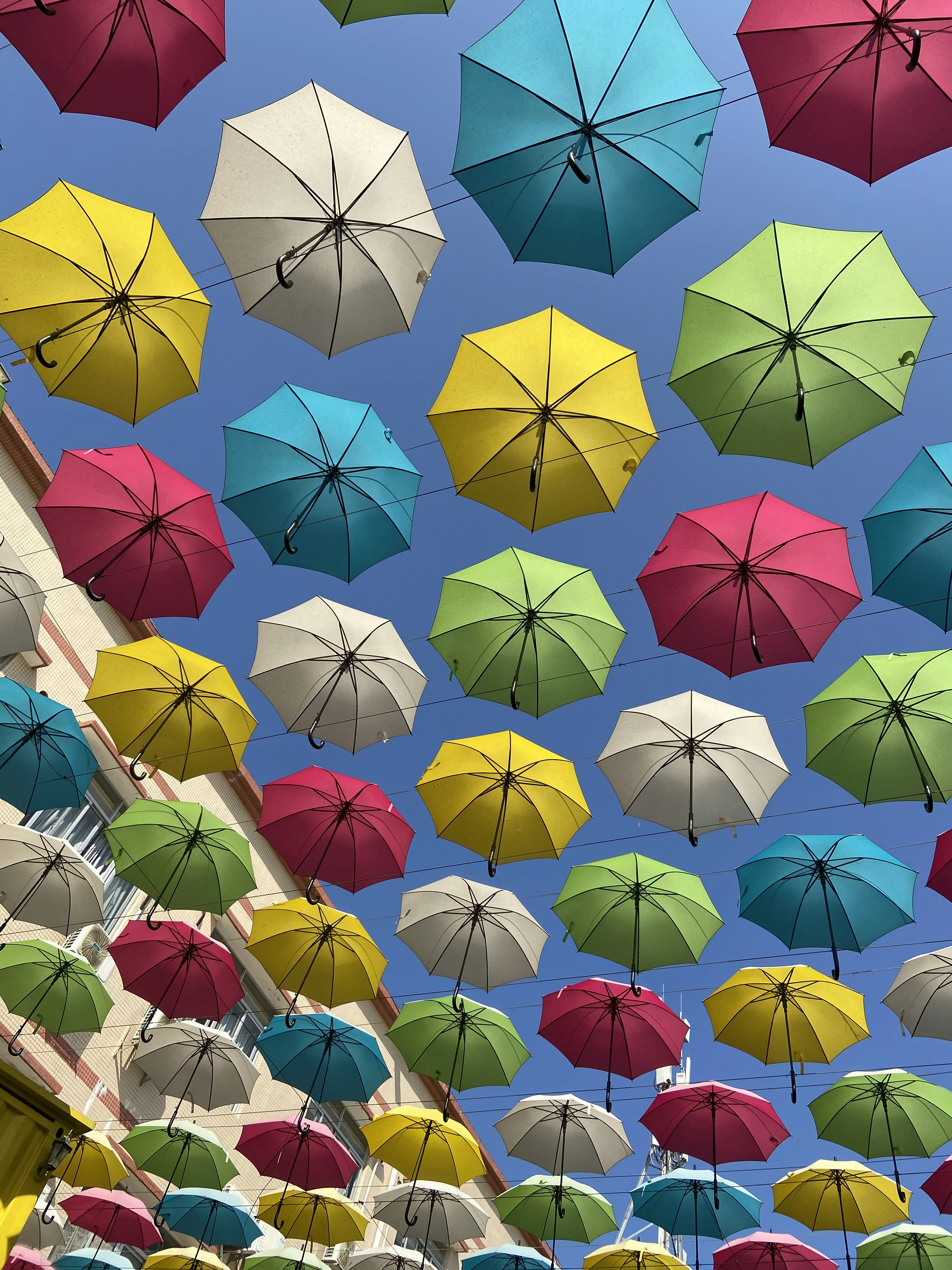 Photo by dastanclound