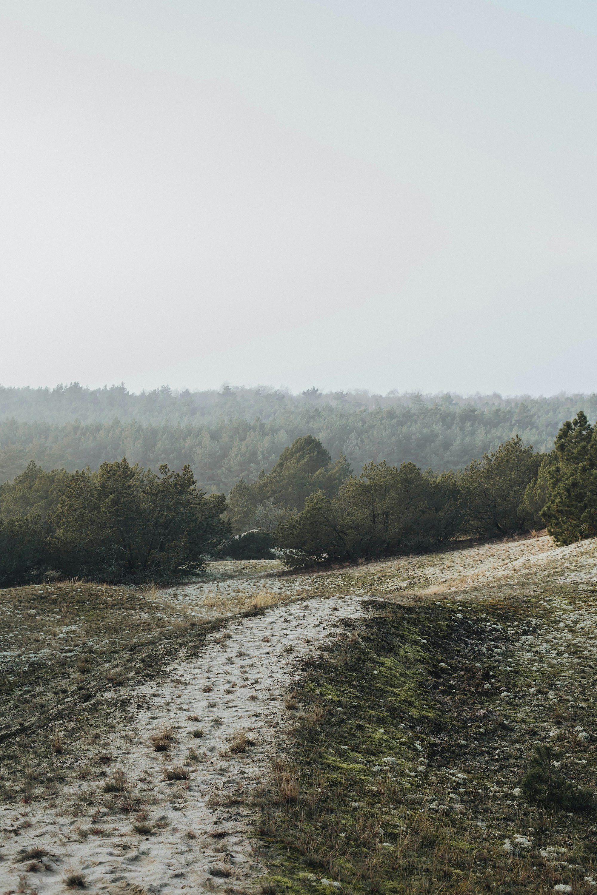 Photo by anastasiaa98