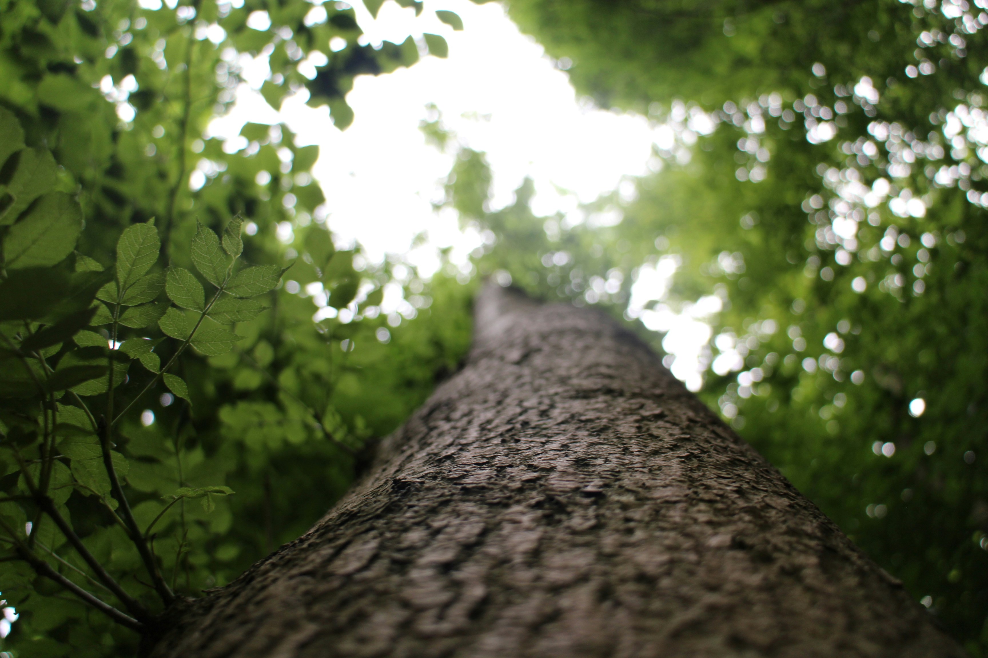 Photo by driver_tommy