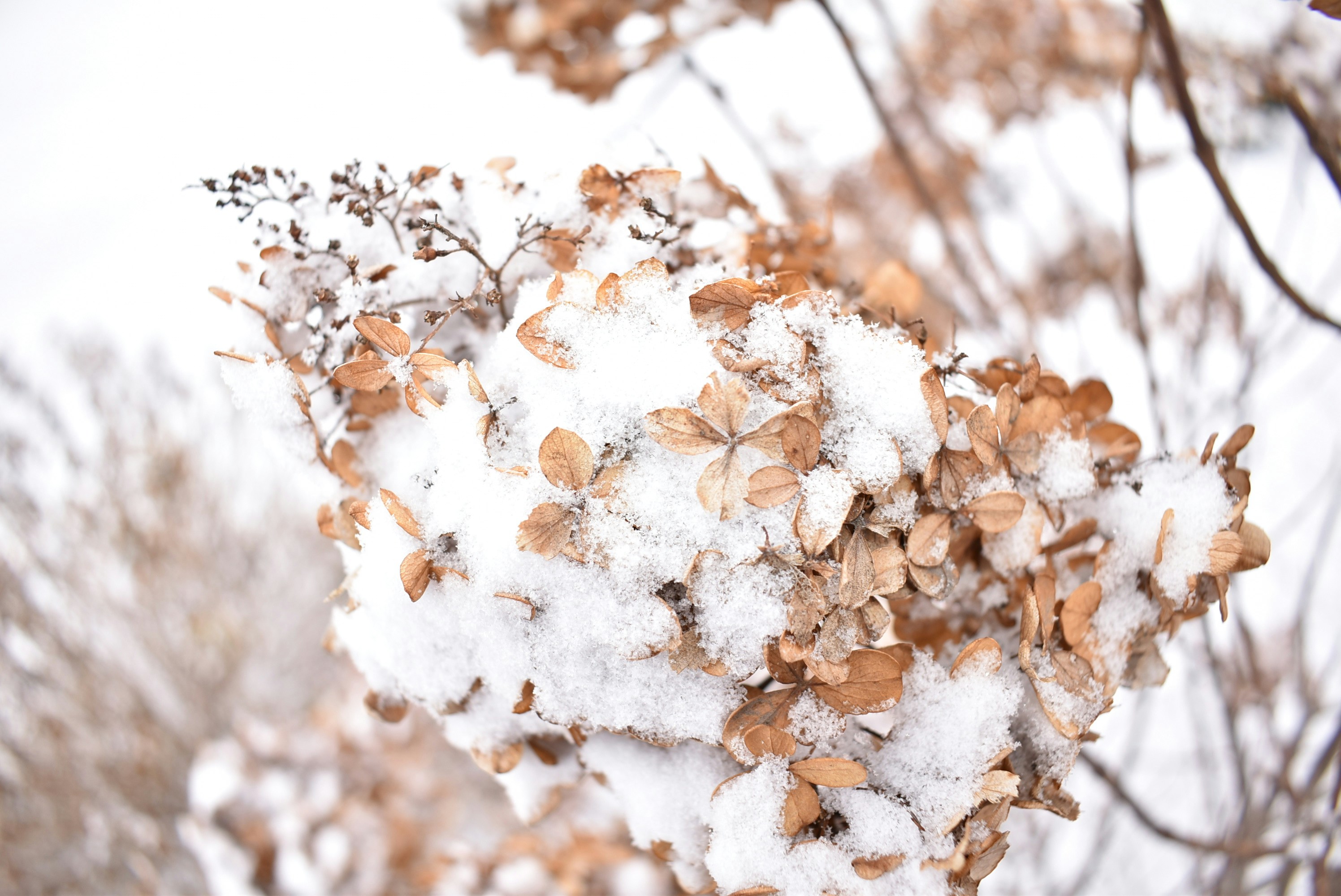 Photo by marie_martin1